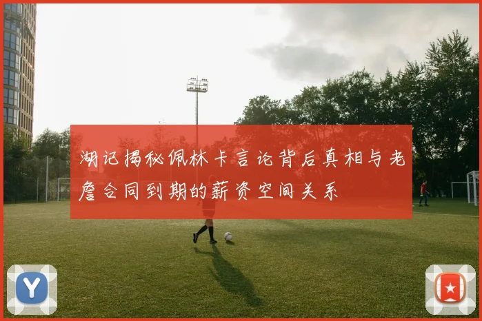 湖记揭秘佩林卡言论背后真相与老詹合同到期的薪资空间关系