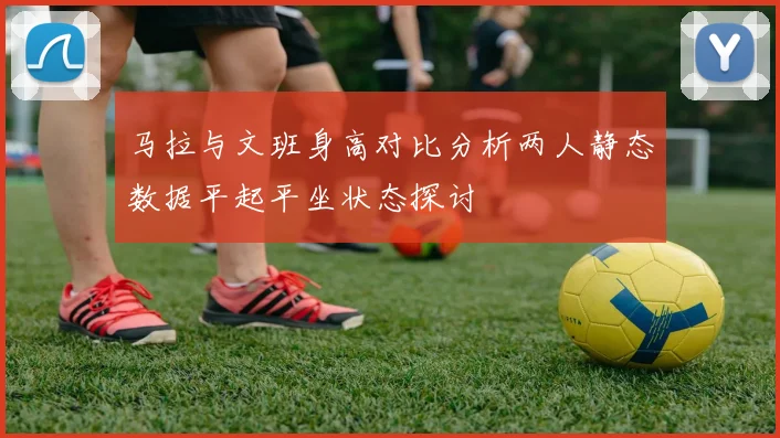 马拉与文班身高对比分析两人静态数据平起平坐状态探讨