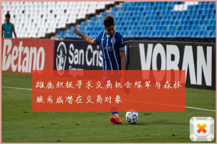 雄鹿积极寻求交易机会绿军与森林狼或成潜在交易对象